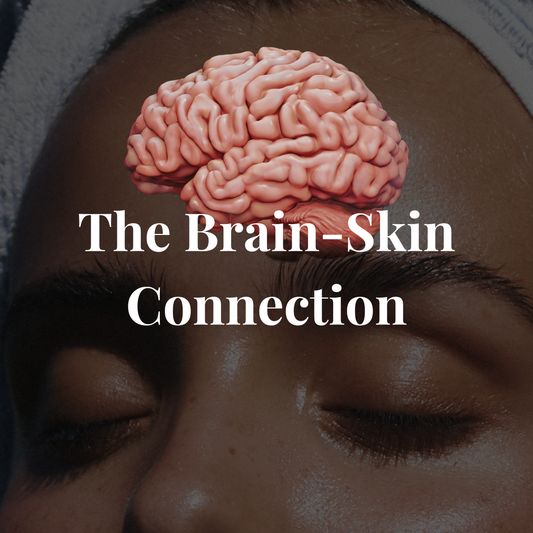 The Brain–Skin Connection