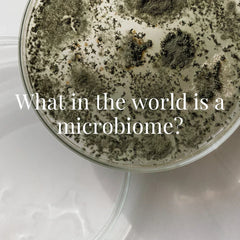 What in the world is a microbiome?